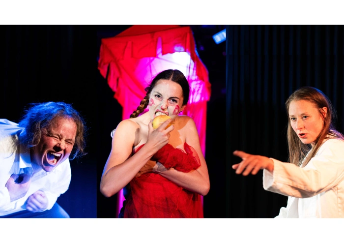 Welkom op de site van het Jansstheater