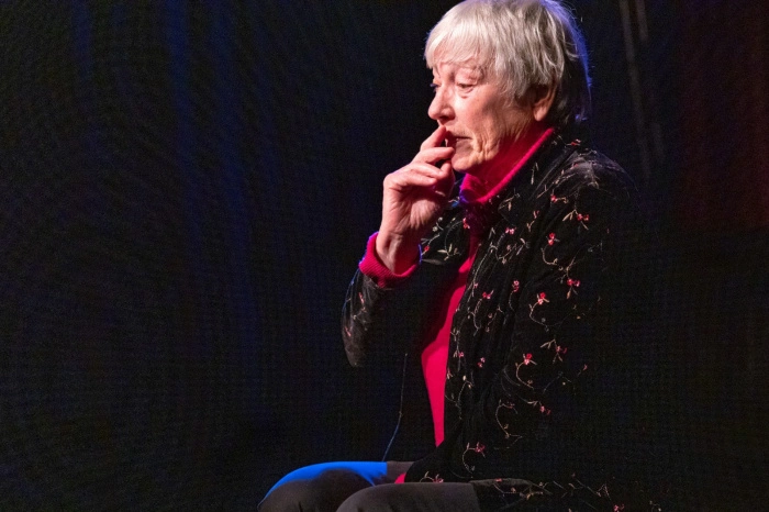 Theaterwerkplaats 60 plus