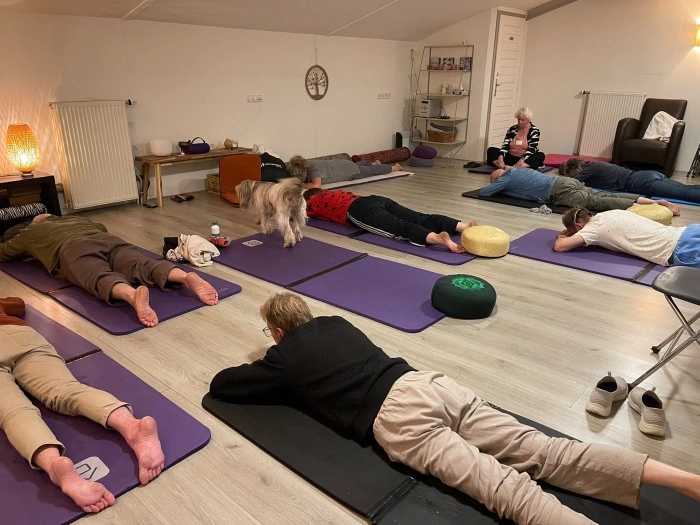 Tai Chi Retraite winter midweek 4-8 januari