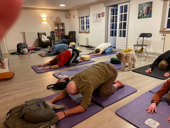 Tai Chi Retraite winter midweek 4-8 januari